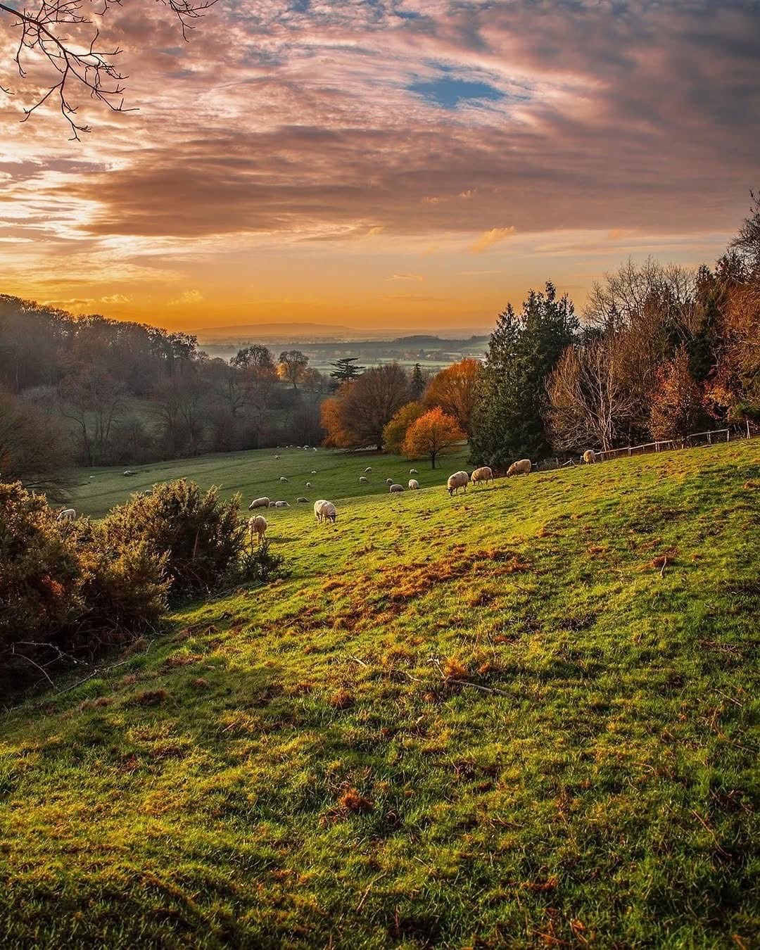 הכפרים האנגליים